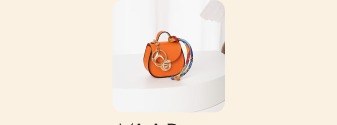 Mini Purse